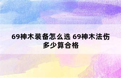 69神木装备怎么选 69神木法伤多少算合格